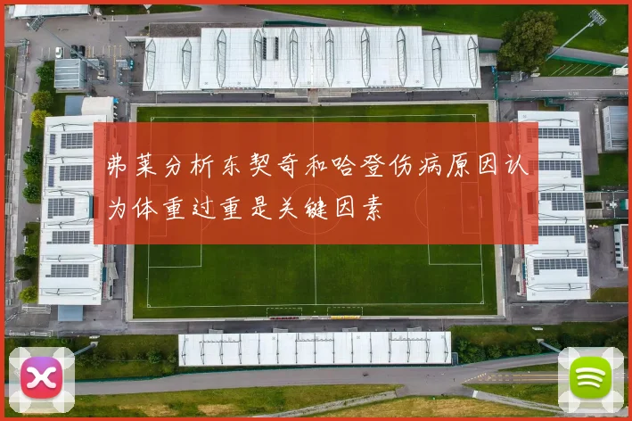 弗莱分析东契奇和哈登伤病原因认为体重过重是关键因素